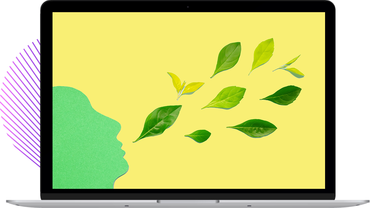 Laptop screen with image representing sustainability'