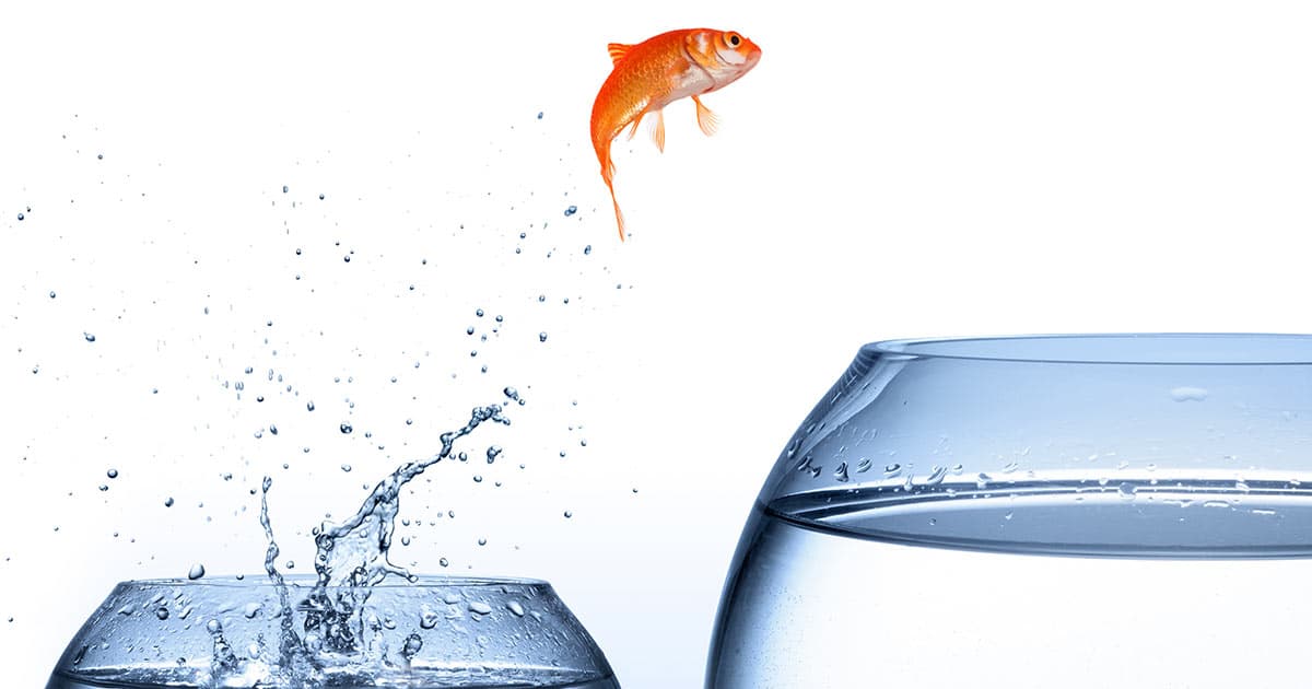 Goldfish jumping from a smaller fishbowl to a bigger one - improvement concept