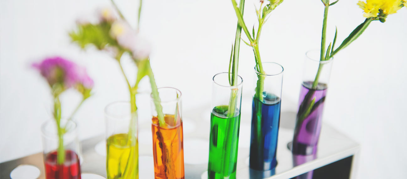 test tubes with different water color and flowers