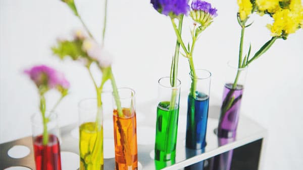 test tubes with different water color and flowers