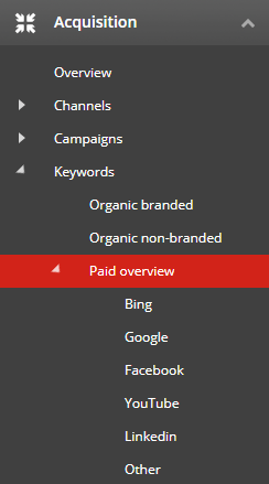 Paid Overview Subtab screenshot