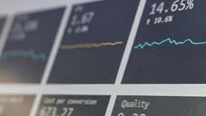 test automation reports and data