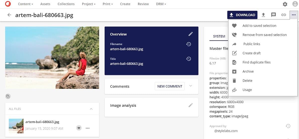 Downloading an asset from Content Hub
