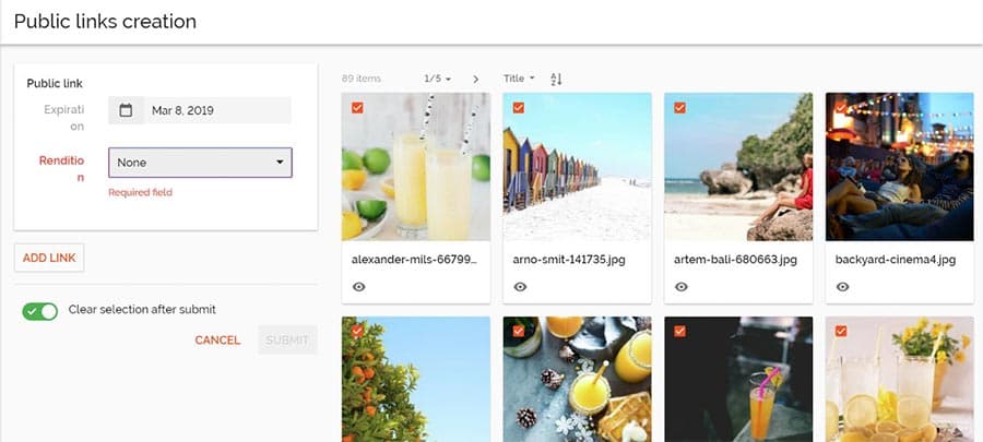 Creating public links in a DAM