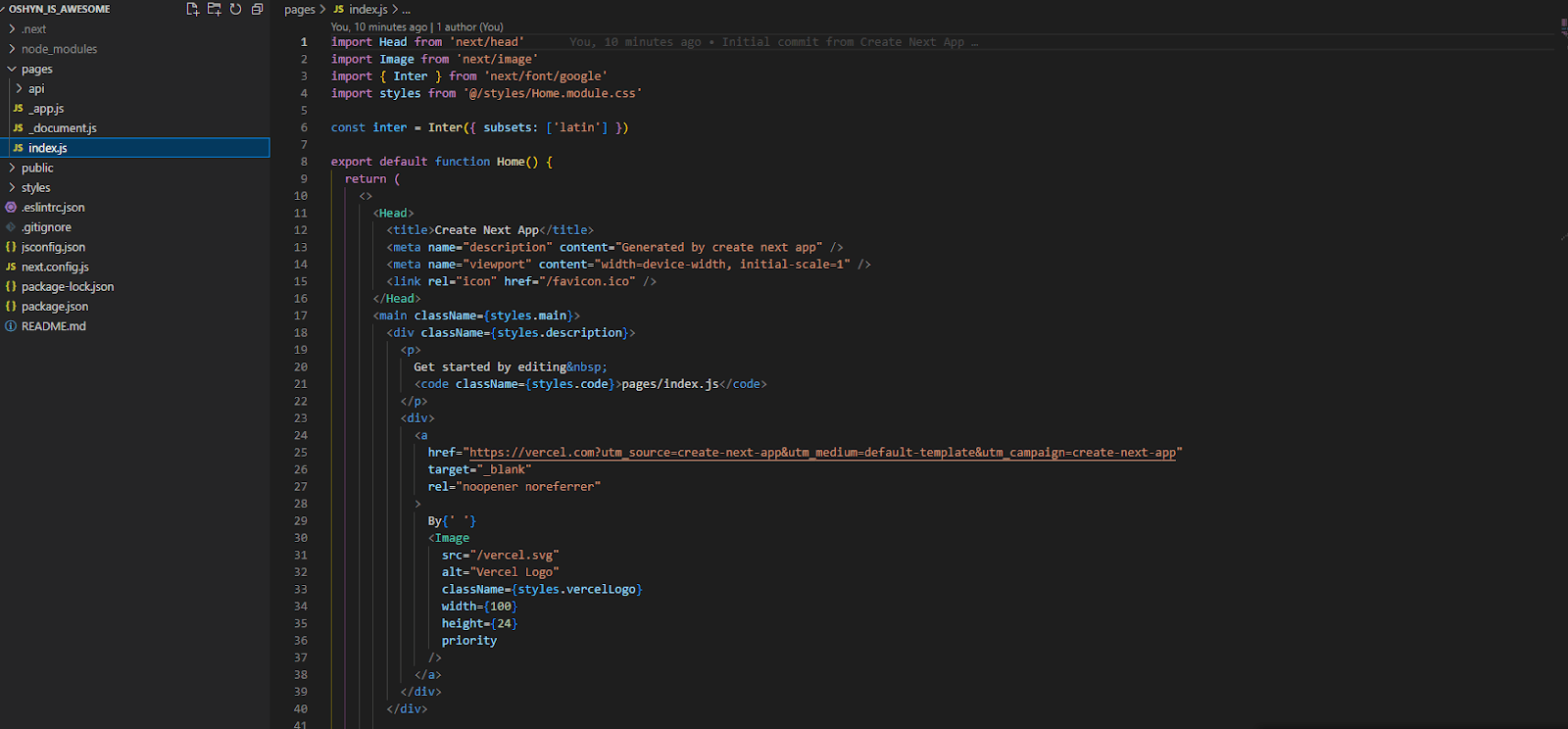 Screenshot of the index.js code