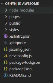 Screenshot of the node-modules folder