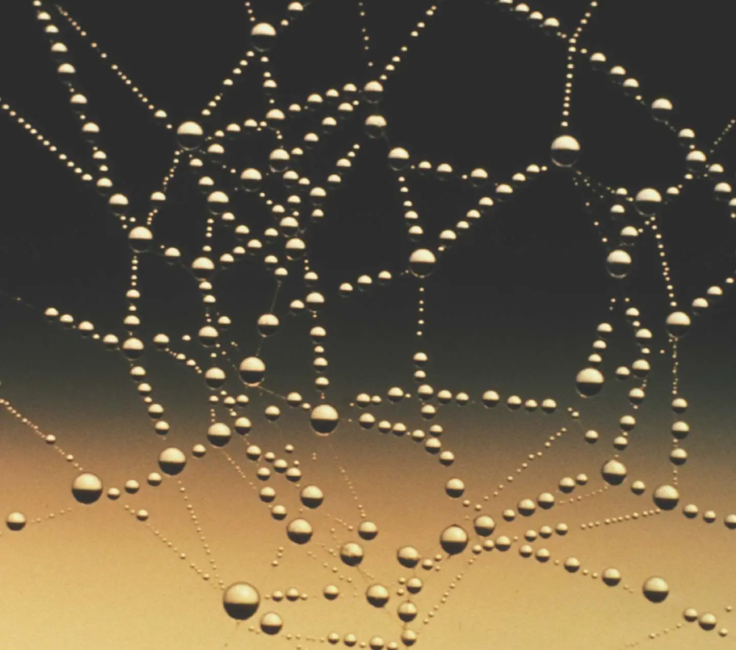 Connections