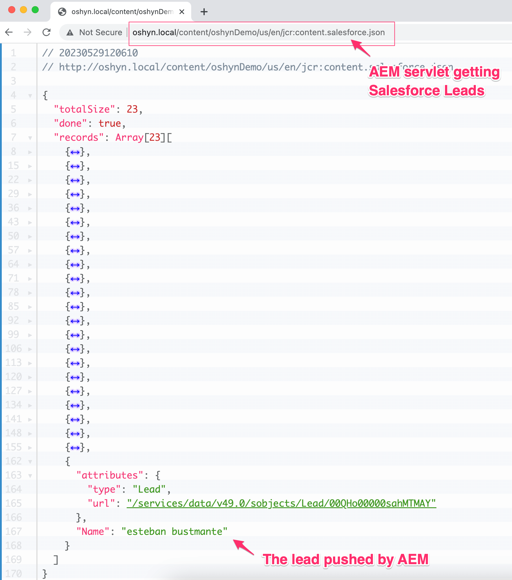 AEM getting leads from Salesforce
