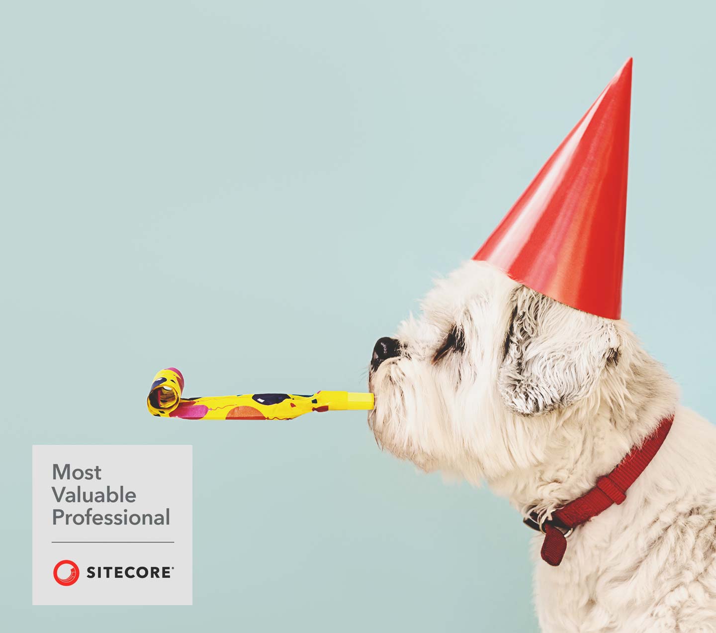 Oshyn celebrates new Sitecore MVP awards