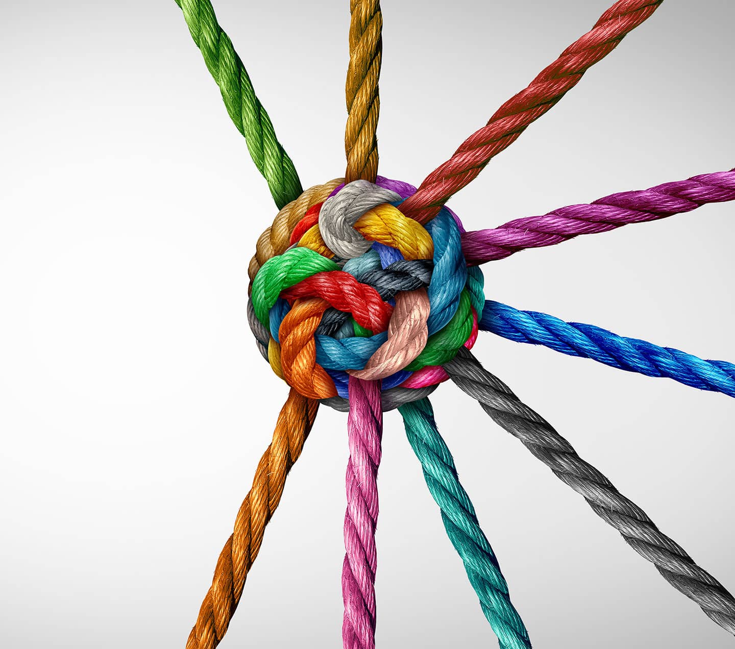 Diverse ropes connected together representing integration