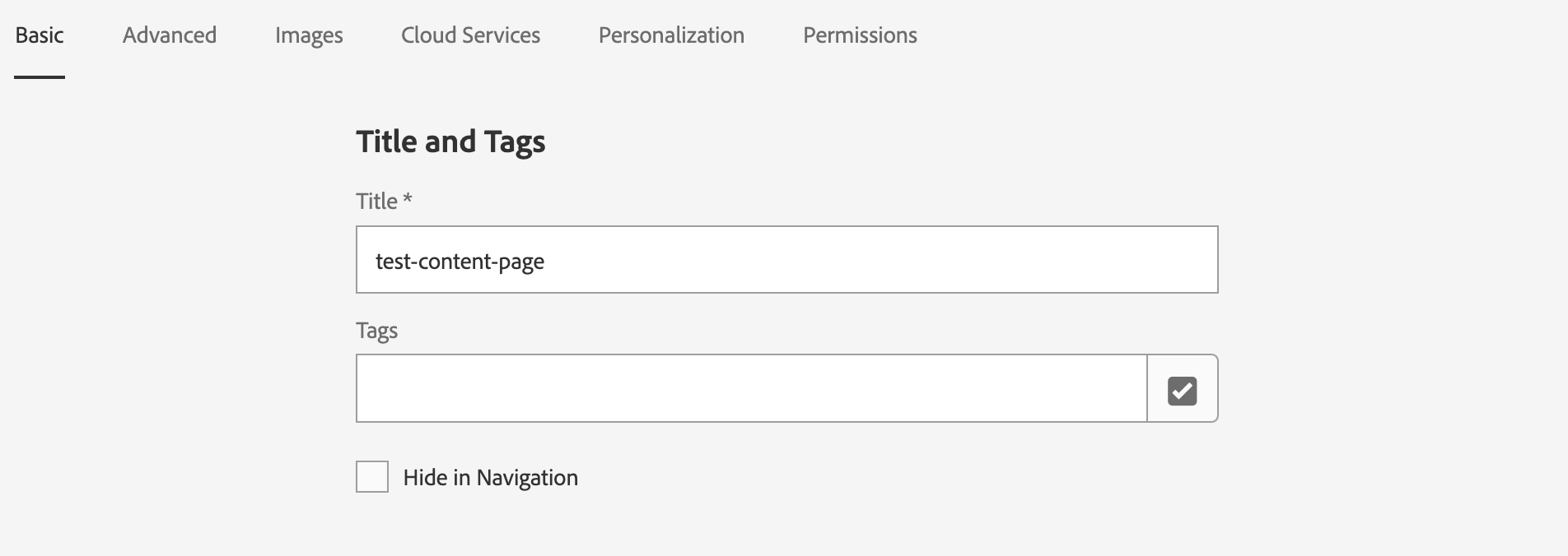 AEM Basic tab, Tags dropdown