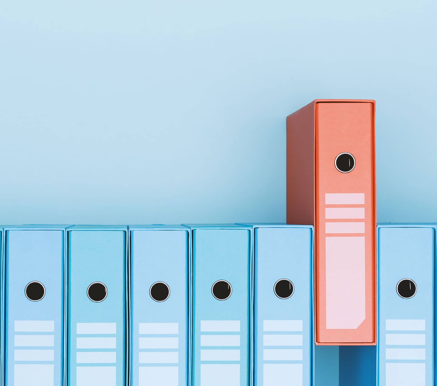 Organized archive with ring binders