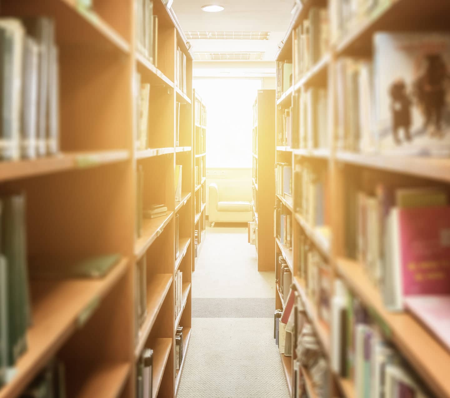 Bookshelves in a library
