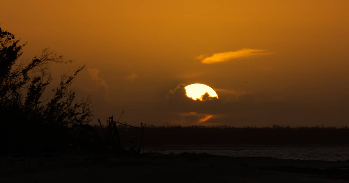 Sunset