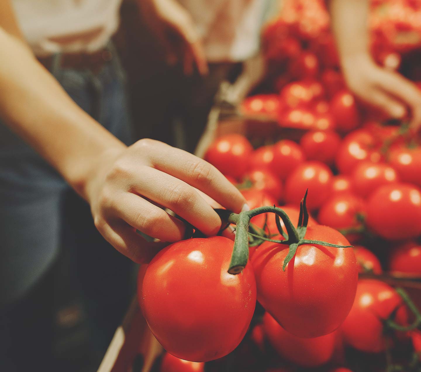 Woman selecting tomatoes.