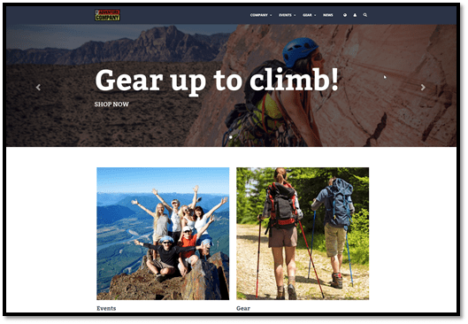 website example